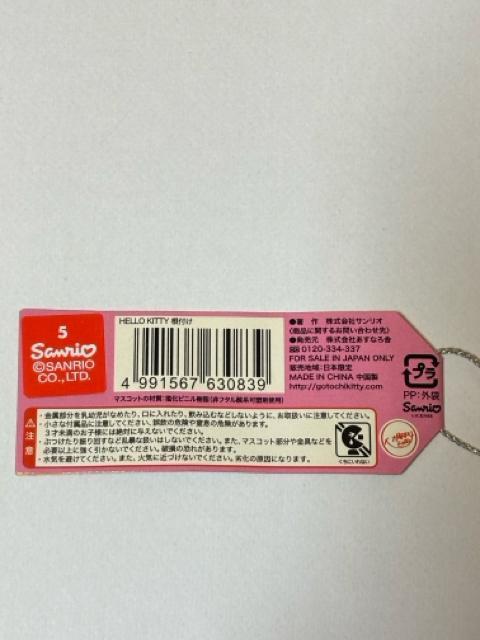 �n���[�L�e�B��2009�����Ɍ��聚���ΊC�� ���Α勴�������L�e�B�����t�� �� �Ɠd/AV�� 