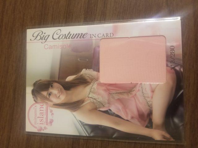 初川みなみ コスチュームカード < タレントグッズ  初川みなみ コスチュームカード  < タレントグッズの