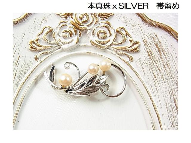 Ǖi@{^삘SILVER ї߁@Be[W   t@bV 