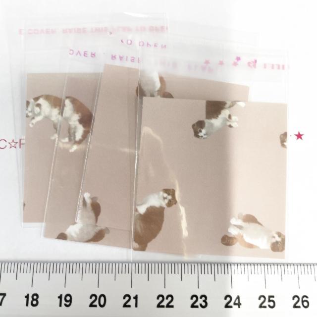 �����䎆�����OPP�܁@4���@410  �� �C���e���A/���C�t�� 