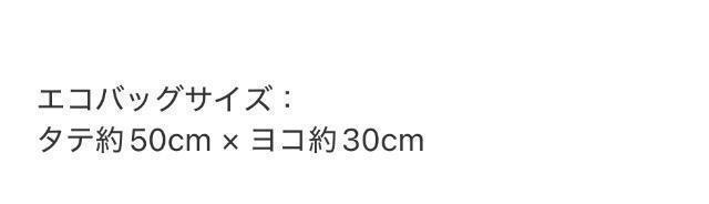 ゼクシィ雑誌付録★ジルスチュアート★エコバッグ&ストラップ付きポーチセット < ブランド ゼクシィ雑誌付録★ジルスチュアート★エコバッグ&ストラップ付きポーチセット < ブランドの