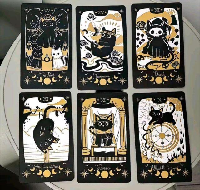 愛らしい猫タロットカード Adorable Cat Tarot 猫デザイン かわいい おしゃれ < 本/雑誌 愛らしい猫タロットカード Adorable Cat Tarot 猫デザイン かわいい おしゃれ < 本/雑誌の