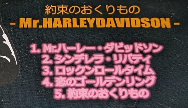 CONY RESPECTTHECOOLS 񑩂̂ |Mr.HARLEYDAVIDSON| Rj[ N[X ?  ^gObY 
