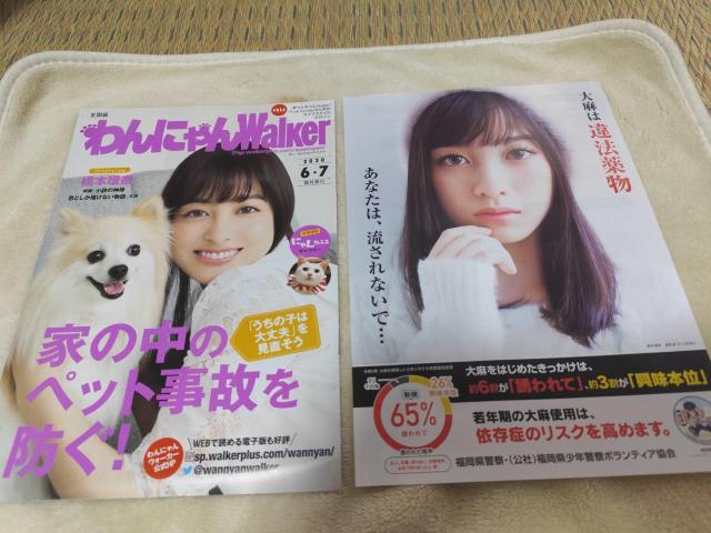 {ށ@ɂWalker@2020.6E7   ^gObY 