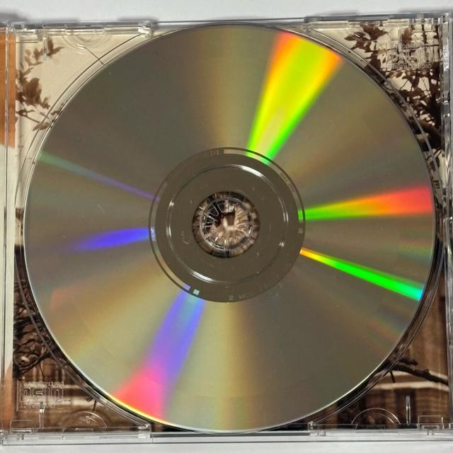 BOBBY BROWN / FOREVER < CD/DVD/ビデオ BOBBY BROWN / FOREVER < CD/DVD/ビデオの