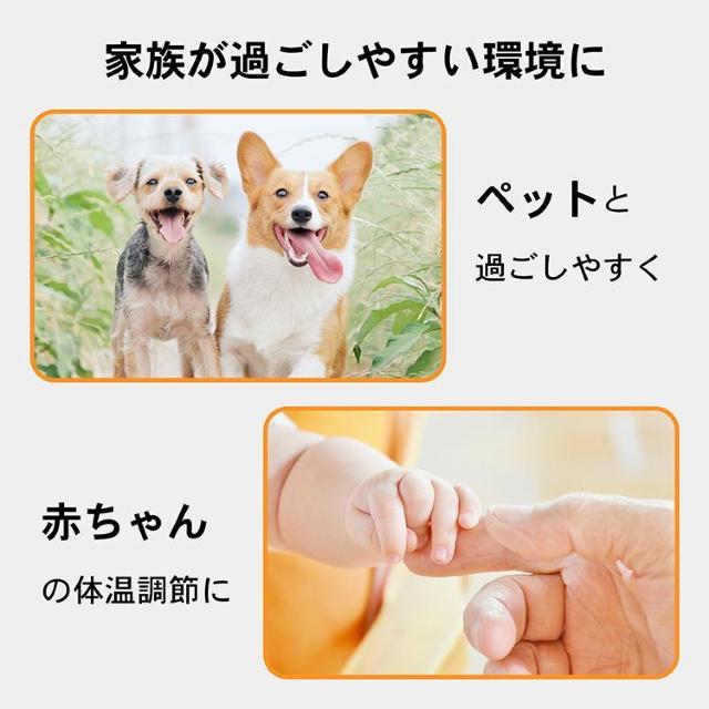 xv 2 fW^ RpNg ^ ȃXy[X Vv Ǖt  u^ ₷  CeA/Ct 