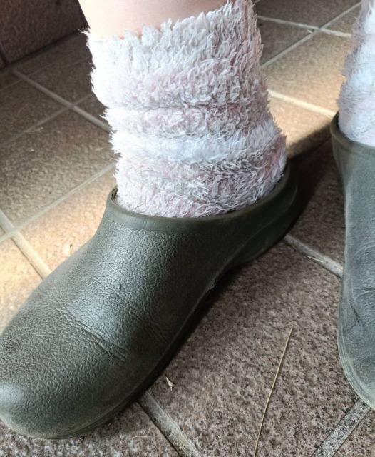 �h���X���b�|�� �� �����t�@�b�V������ 