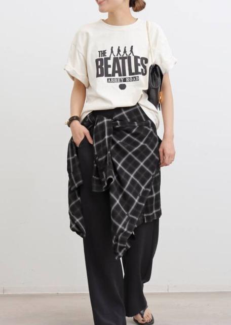 A'ppartement Apg ʒlTVci hD[YBGNX AP 