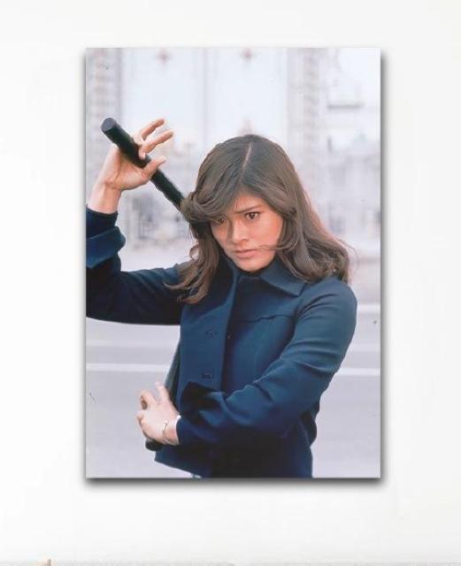 新品☆タペストリー昭和のスーパー本格アクション女優 志穂美悦子☆ < インテリア/ライフ 新品☆タペストリー昭和のスーパー本格アクション女優 志穂美悦子☆ < インテリア/ライフの