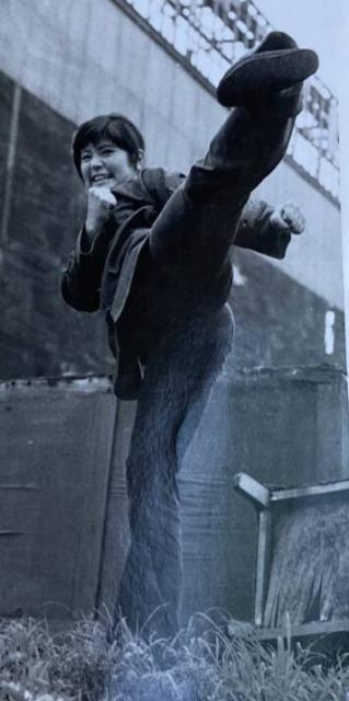 新品☆タペストリー昭和のスーパー本格アクション女優 志穂美悦子☆ < インテリア/ライフ 新品☆タペストリー昭和のスーパー本格アクション女優 志穂美悦子☆ < インテリア/ライフの