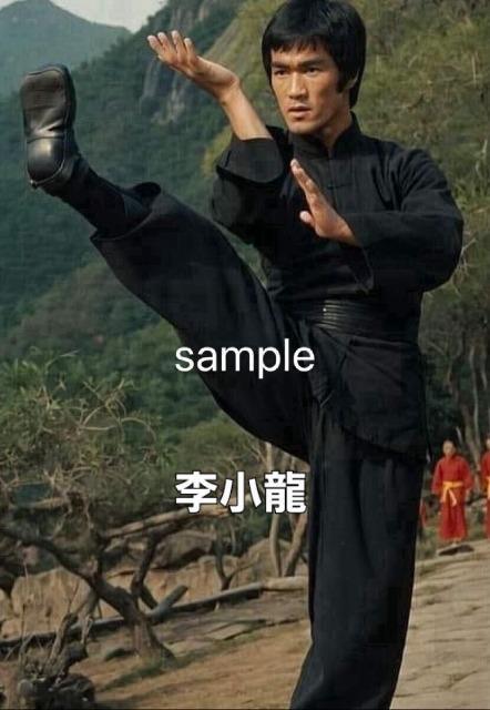 ���u���[�X���[���S�V�YAK��(�I���W�i���ҏW�o�[�W����)��VCD �� CD/DVD/�r�f�I�� 