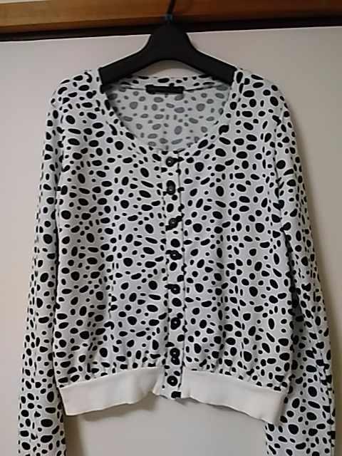 ���������@���f�B�[�X�J�[�f�B�K���@�g�b�v�X 