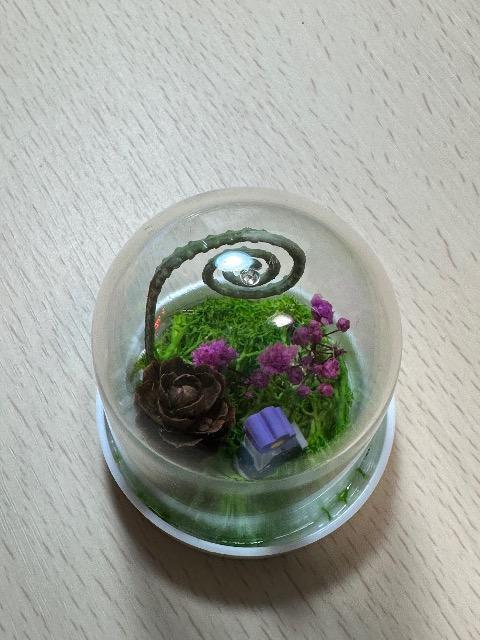 ハンドメイド テラリウム < ペット/手芸/園芸 ハンドメイド テラリウム < ペット/手芸/園芸の