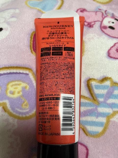 NEWJOURNEY j[W[j[{fBN[ SUN 170g