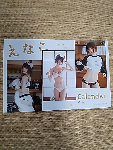 ����A�N�V�����@�t�^�@�N���A�t�@�C�����J�����_�[�@���T�|�X�g�J�[�h