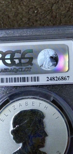 �y���H���i�z2012�N �J�i�_1�I���X���[�v������ݕ��@�h���S���}�b�N�wPCGS  PS GEM�Ӓ�i�x �� �z�r�[�� 