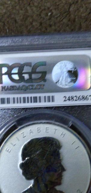 �y���H���i�z2012�N �J�i�_1�I���X���[�v������ݕ��@�h���S���}�b�N�wPCGS  PS GEM�Ӓ�i�x �� �z�r�[�� 