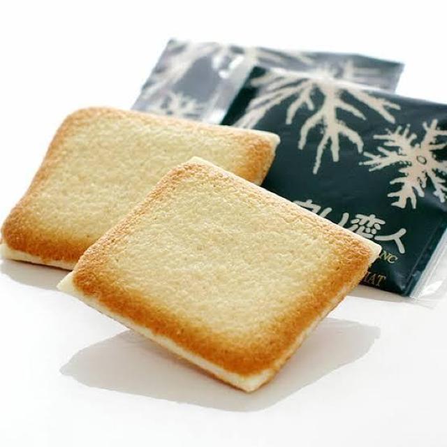 �y9���z�������l �z���C�g �������� �k�C���y�Y ISHIYA�i�Ή����فj �� �O����/�h�����N�� 