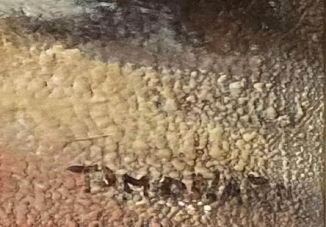 絵画 油彩画 友成晴雄『ヴェネツィア』真作保証 原画 < ホビー 絵画 油彩画 友成晴雄『ヴェネツィア』真作保証 原画 < ホビーの