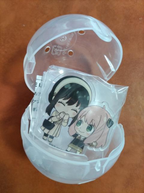 SPY~FAMILYiXpCt@~[jK`K`@A[jƂ!  邷ǁ@2A[j  zr[ 