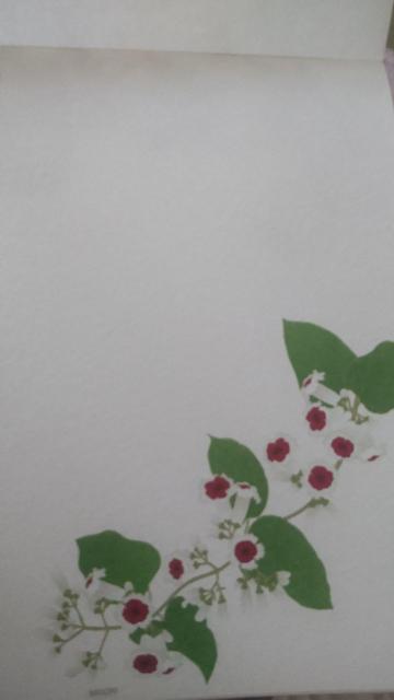 ~h@zOaⳁ@ẲԕiN}`XAXAԁADj
