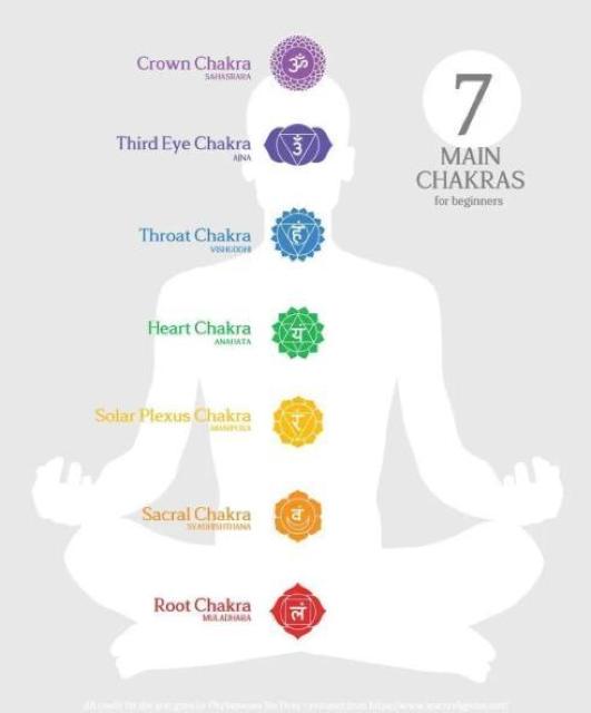 Himalayan�����}�W�b�N�����h�q�[�����O��΋␻�V���o�[ �� �z�r�[�� 