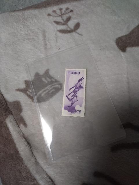 ���Ɋ�  �� �z�r�[�� 