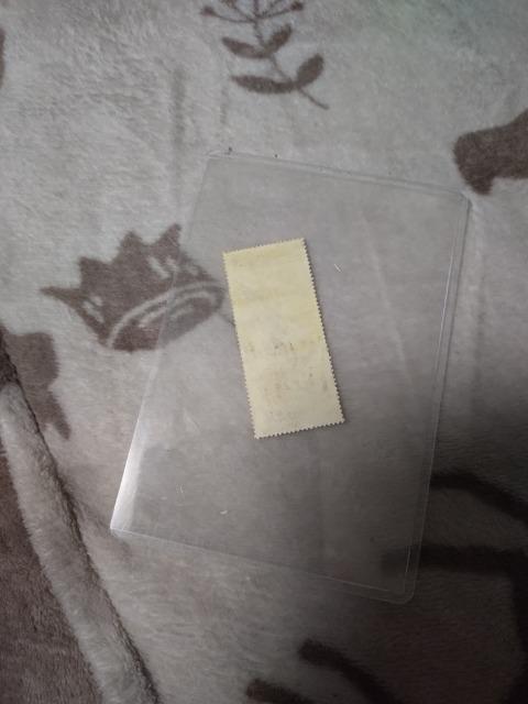 ���Ɋ� �� �z�r�[�� 