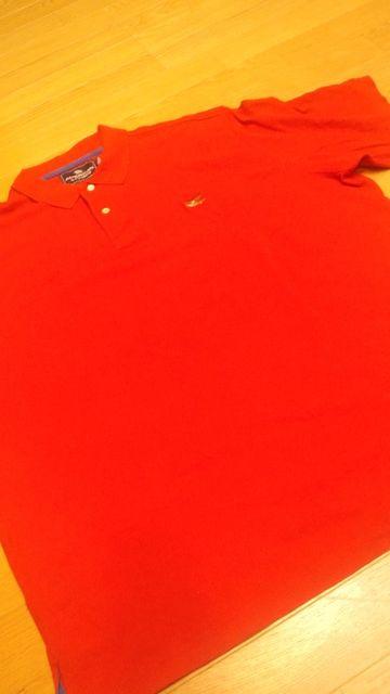 AMERICAN|LIVING h hJ JmRԂqdc TCYXXL3XL   jt@bV 