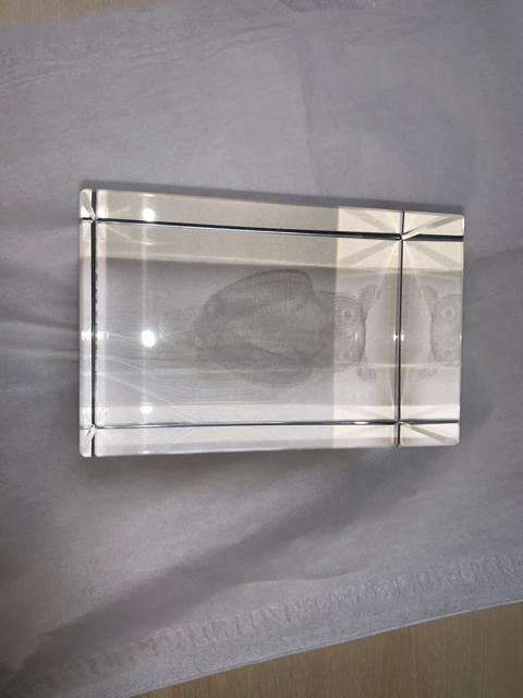 CRYSTAL ART ふくろう 未使用 < インテリア/ライフ  CRYSTAL ART ふくろう 未使用 < インテリア/ライフの