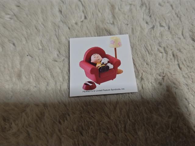 �X�k�[�s�[�̐��E 11�� 12�� ���W�� ���A�J�[�h�t �� ��������� 