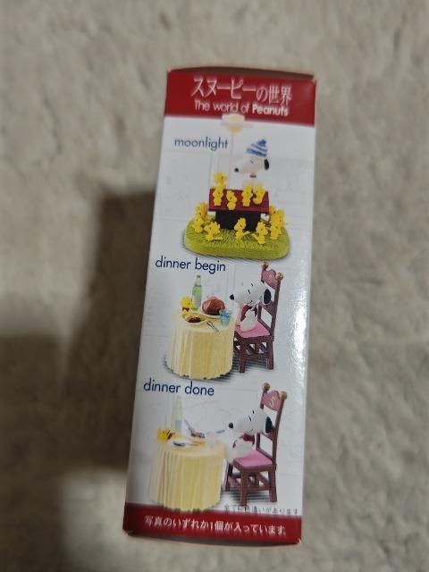 �X�k�[�s�[�̐��E 11�� 12�� ���W�� ���A�J�[�h�t �� ��������� 