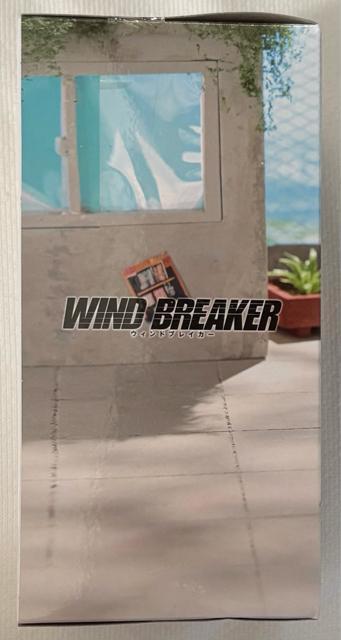 TVアニメ『WIND BREAKER』梅宮一 フィギュア Chatting time! < ホビー  TVアニメ『WIND BREAKER』梅宮一 フィギュア Chatting time! < ホビーの