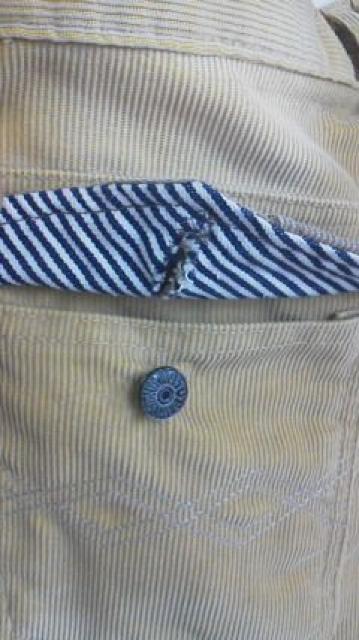 RISOT~DAISY R{ R[fC x[W CNɔi  uh 