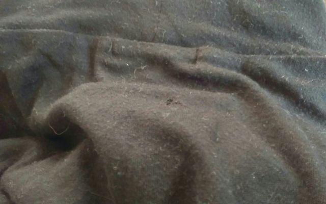 訳あり 黒のタートルネック < 女性ファッション  訳あり 黒のタートルネック < 女性ファッションの