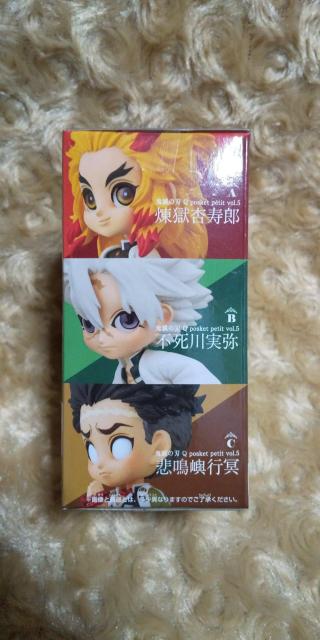 Sł̐n Qposket petit vol.5 s