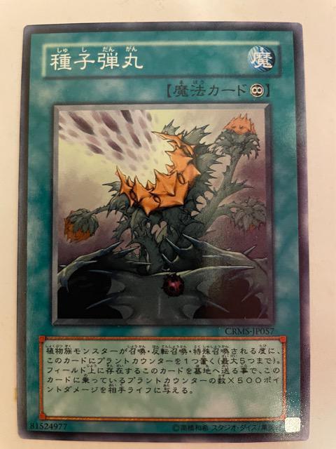 遊戯王【魔・種子弾丸】 < トレーディングカード  遊戯王【魔・種子弾丸】  < トレーディングカードの