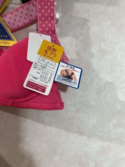 新品タグ付き 体幹X  ノンワイヤーブラジャー   Lサイズ < 女性ファッション  新品タグ付き 体幹X  ノンワイヤーブラジャー   Lサイズ < 女性ファッションの