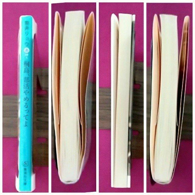 yŁzɁu˓A߂Ă/Wp/䃊Ev  {/G 