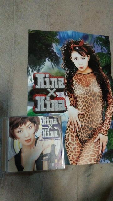 ☆Hina×Hina 雛形あきこ DVD スペシャル < タレントグッズ  ☆Hina×Hina 雛形あきこ DVD スペシャル  < タレントグッズの