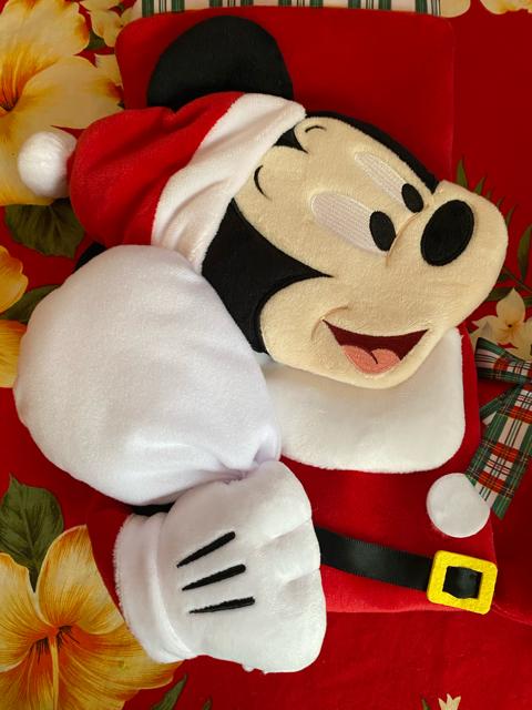 VigpfBYj[ӂӂNX}X\bNX