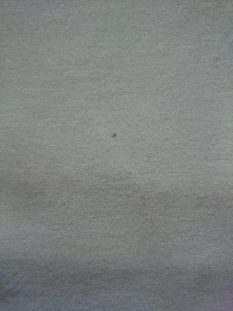 Rew de Rew☆ふんわりフレアスカート★イレギュラー裾☆ドレープ 落ち感◎ < ブランド  Rew de Rew☆ふんわりフレアスカート★イレギュラー裾☆ドレープ 落ち感◎ < ブランドの