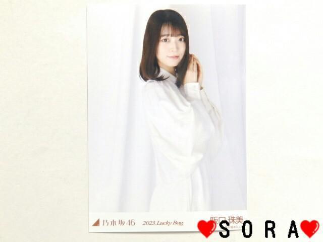 【乃木坂46/阪口珠美】2023年 Lucky Bag ラッキーバッグ福袋♪生写真 < タレントグッズ  【乃木坂46/阪口珠美】2023年 Lucky Bag ラッキーバッグ福袋♪生写真  < タレントグッズの