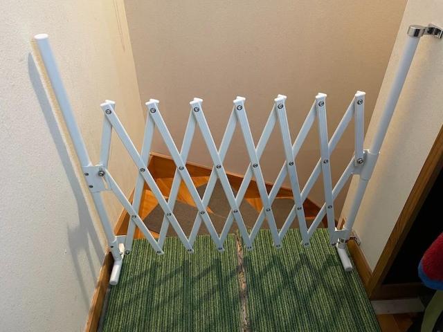 300cm xr[Q[g y RpNg[ _[NuE J[L  LbY/xr[ 