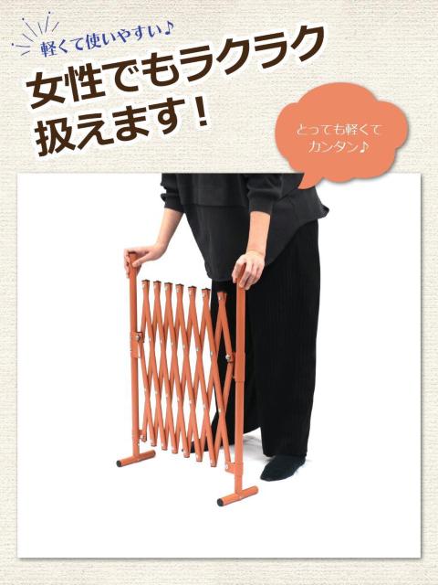 300cm xr[Q[g y RpNg[ _[NuE J[L  LbY/xr[ 