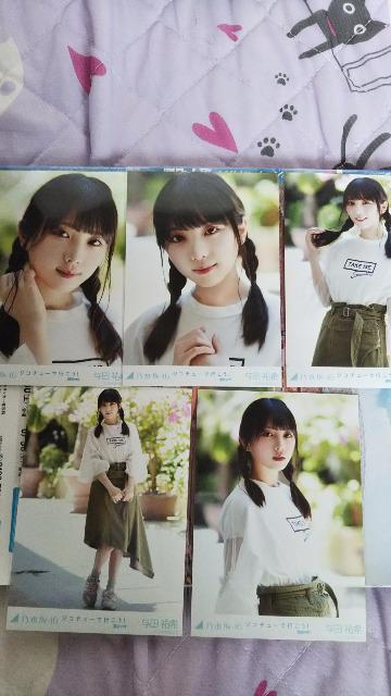 T؍46 ^cSʐ^   ^gObY 