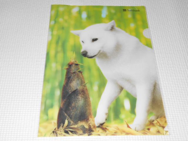 SoftBank NAt@C 2018t   zr[ 