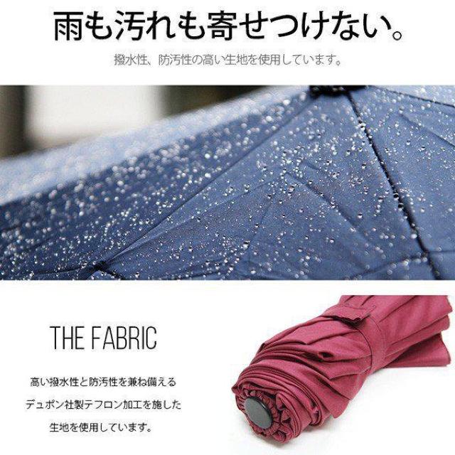 sNewt^b`JLEDCgtOXt@Co[*܂肽ݎP/sN  t@bV 