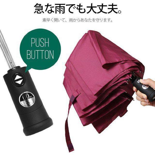 sNewt^b`JLEDCgtOXt@Co[*܂肽ݎP/sN  t@bV 