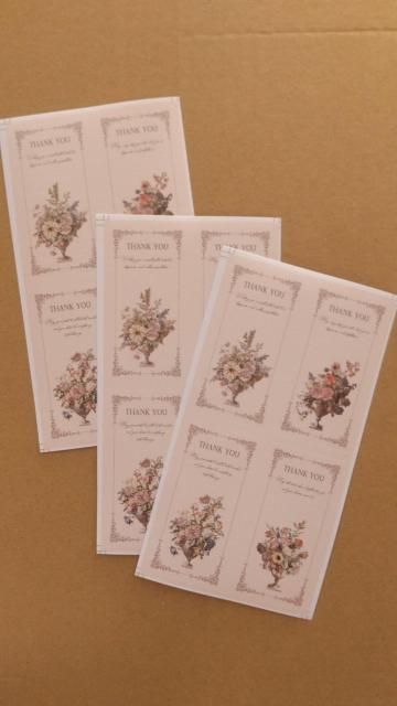 @@Thank you V[@sN̉ԕ@c^Cv 